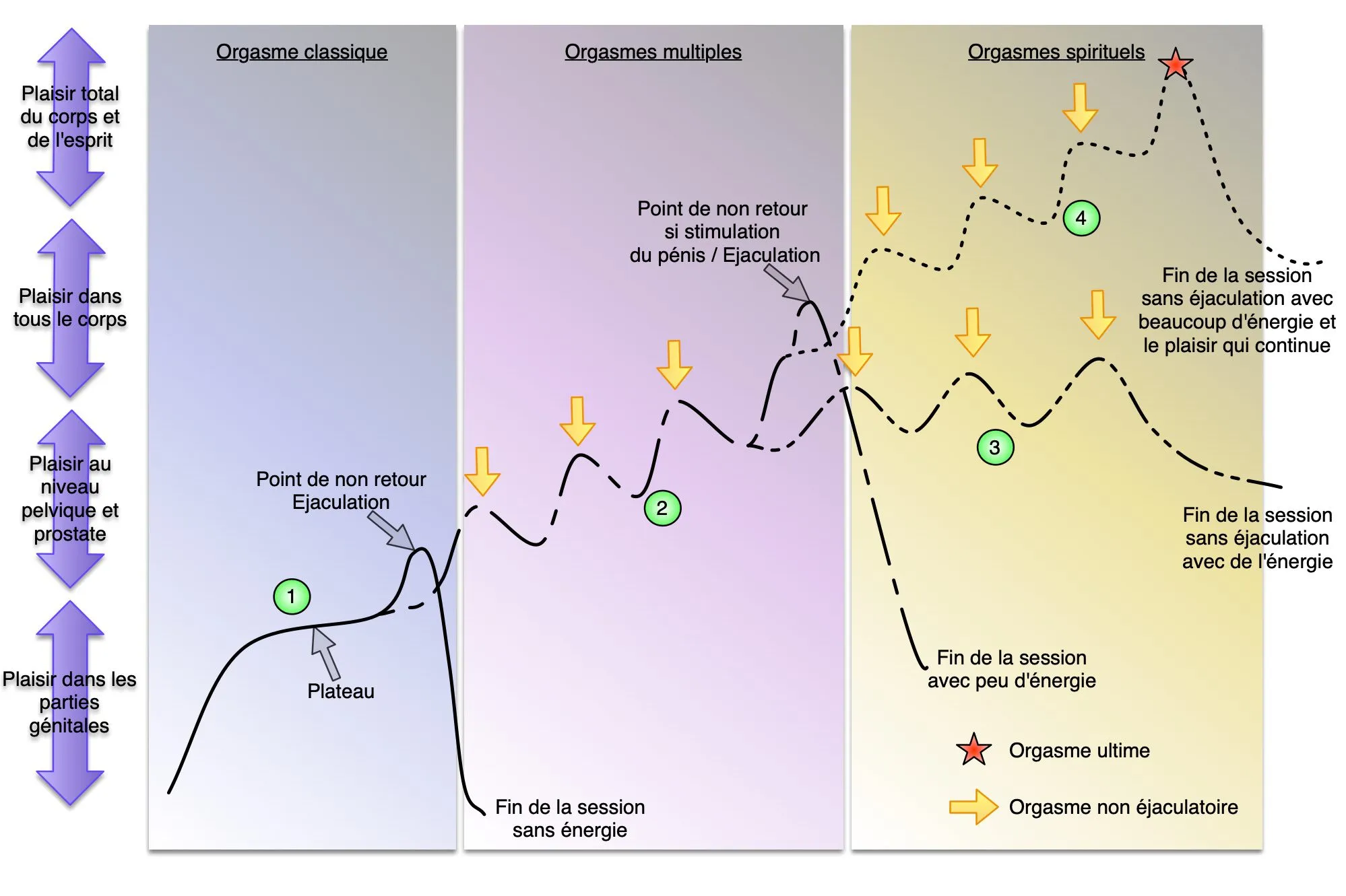 Nouvelle carte des orgasmes avec un Aneros