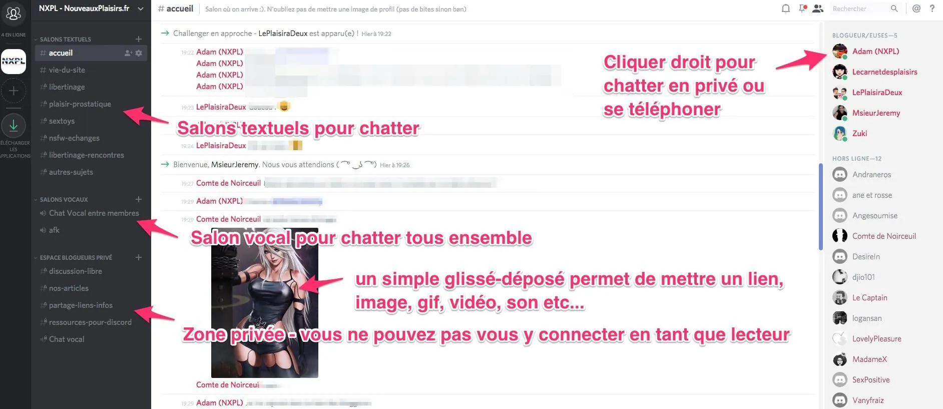 Interface du serveur Discord de NouveauxPlaisirs.fr
