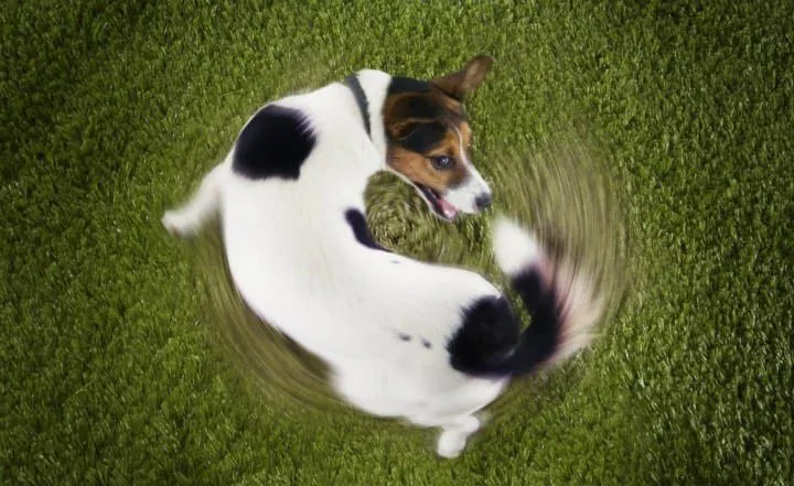 Les trois obstacles à une sexualité masculine épanouie