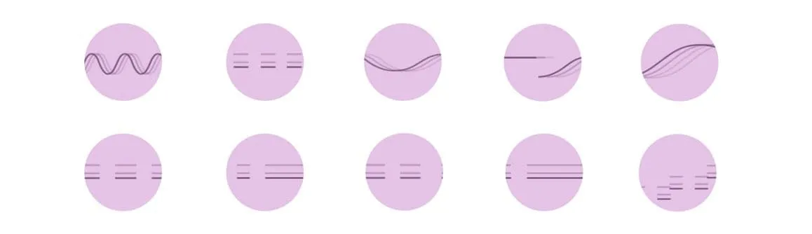 Schéma des 10 modes de vibrations du rabbit Bonnie and Clyde