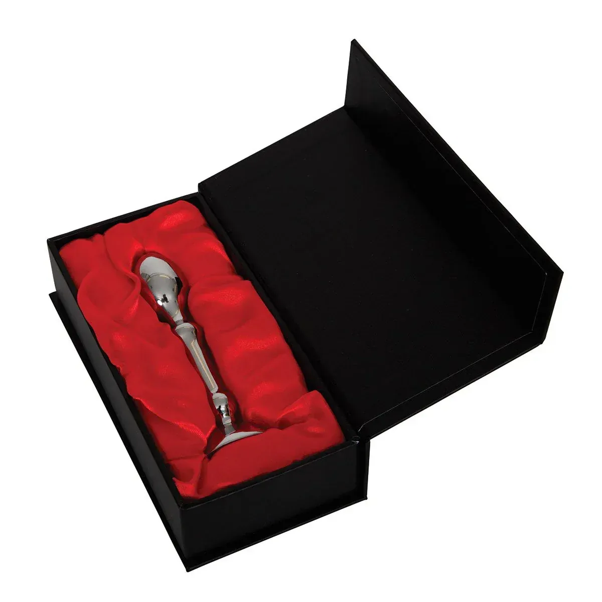 Coffret de présentation luxueux de l'Aneros Tempo avec fermeture aimantée