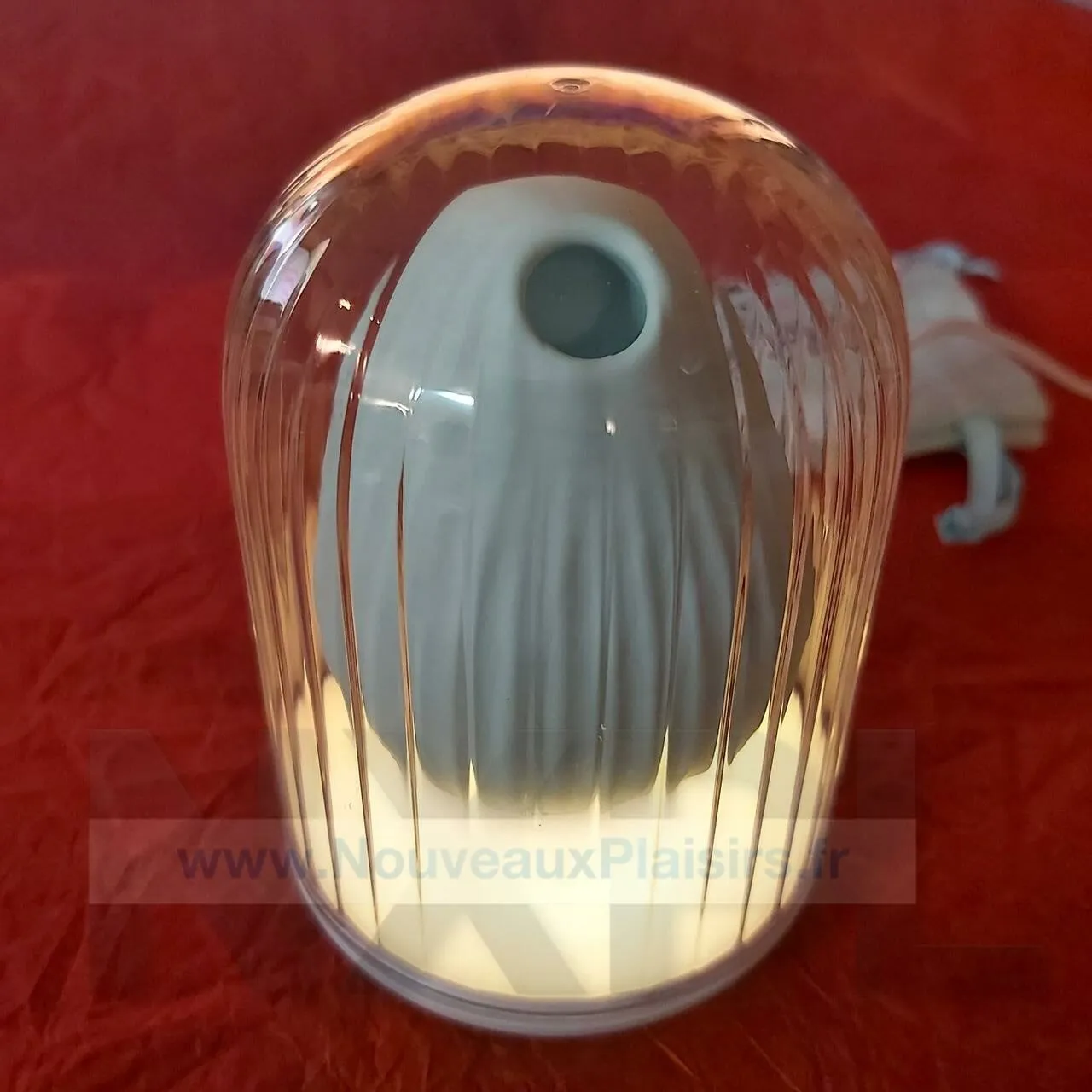 nxpl biird obii 07 rotated