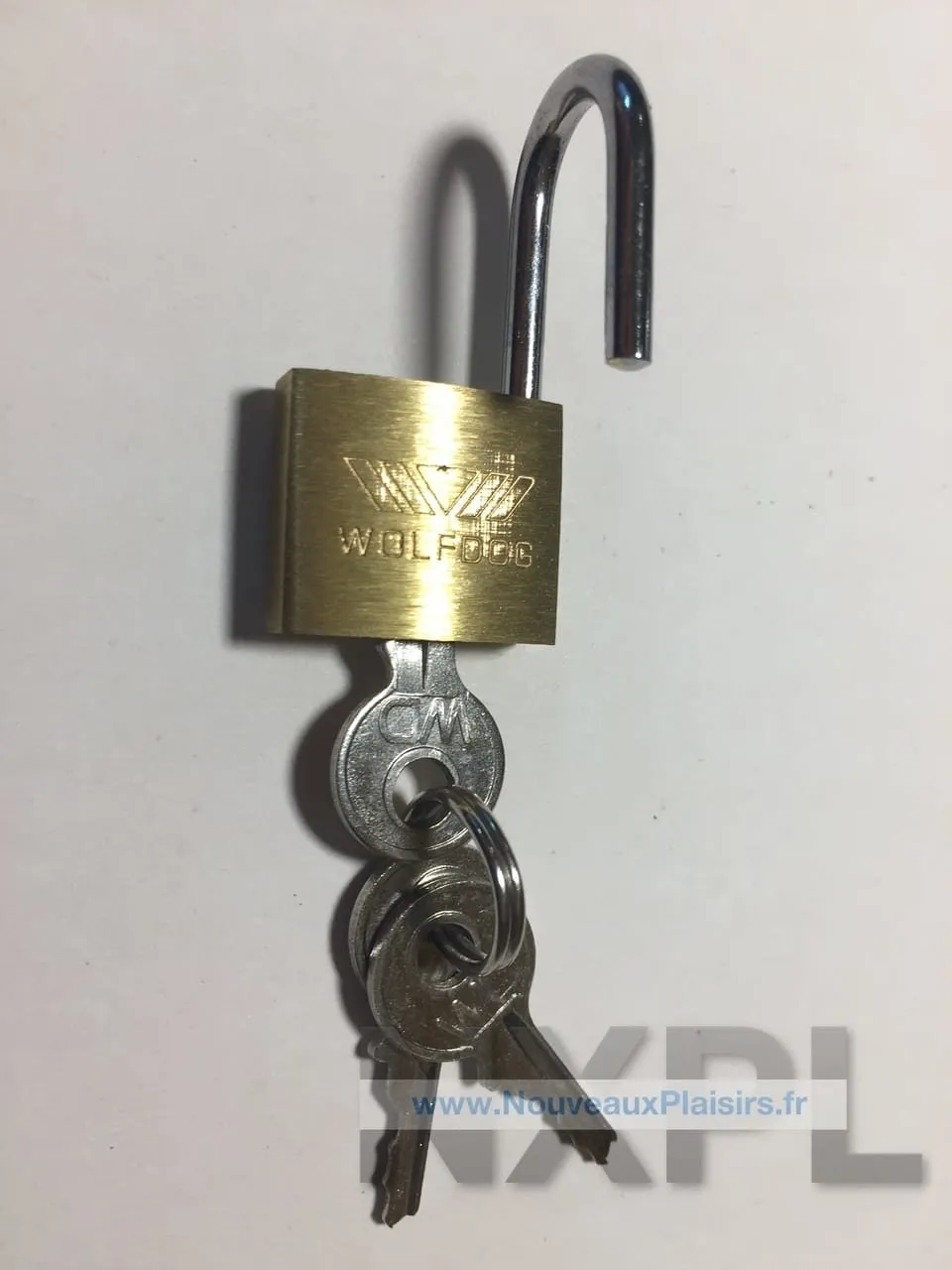 nxpl cage asylum 4 03 e1560162086173