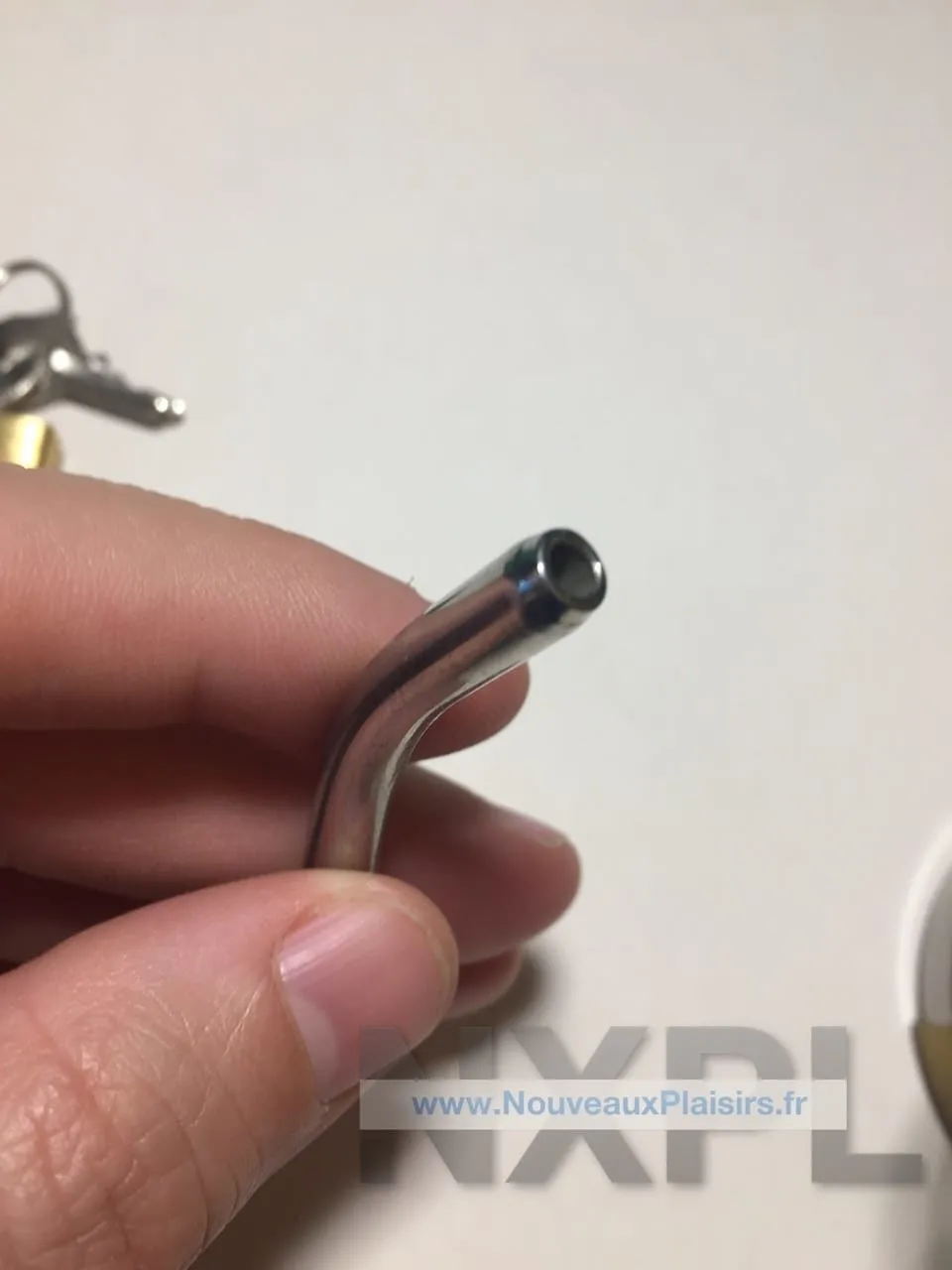 nxpl cage asylum 4 14 e1560002744495