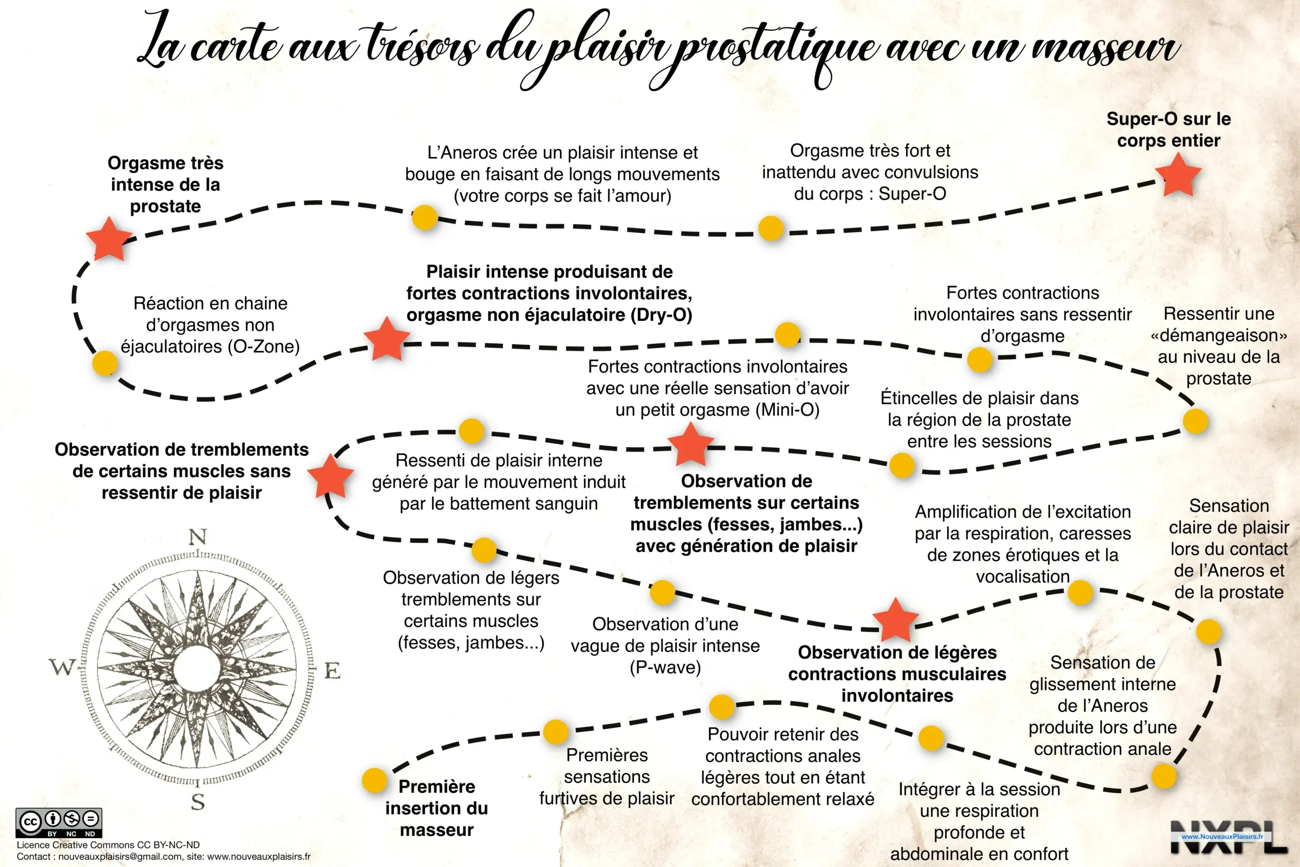 Carte au trésor du plaisir prostatique
