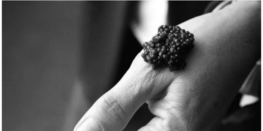 Les soirées libertines de Z.