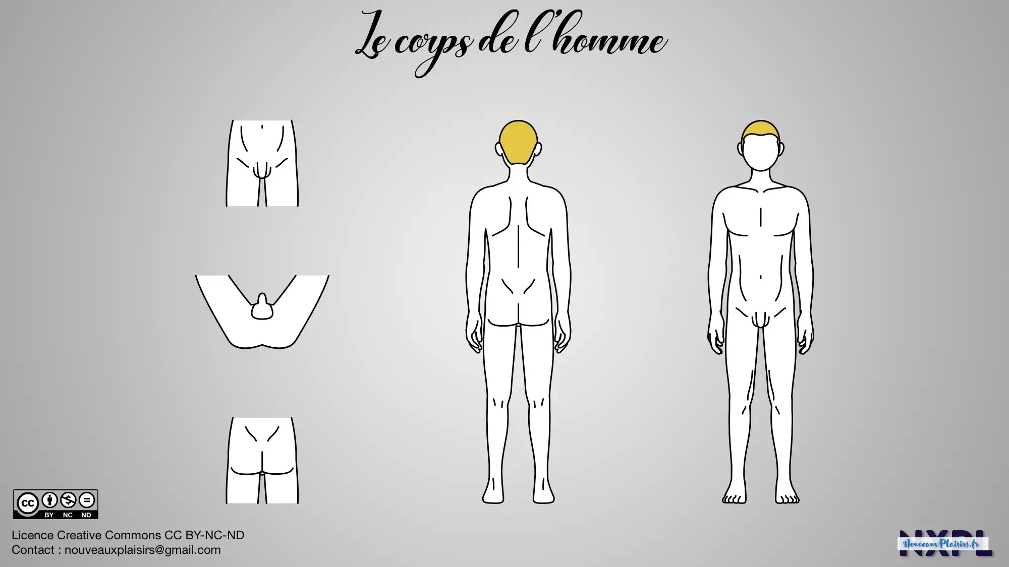 nxpl corps masculin template alt