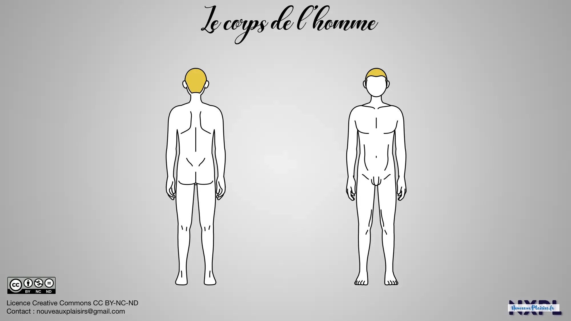 nxpl corps masculin template