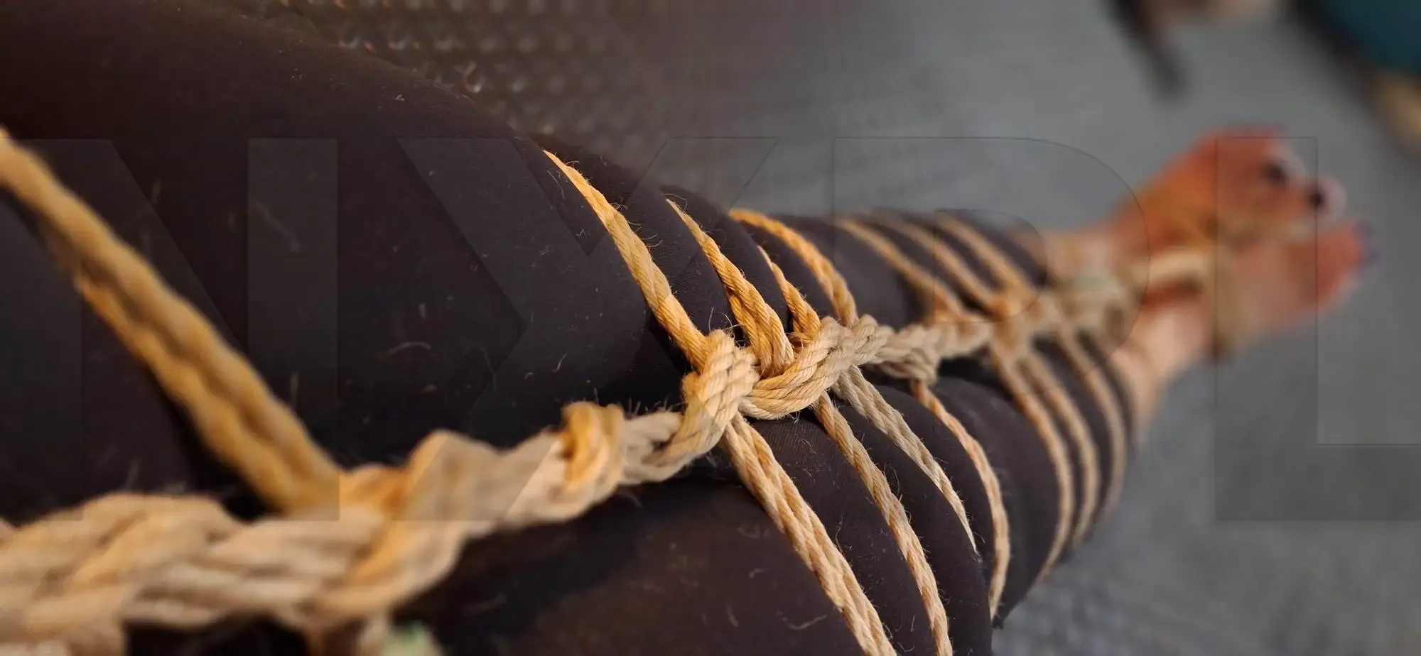 Le cours de shibari à l'école Corps des Cordes - NXPL