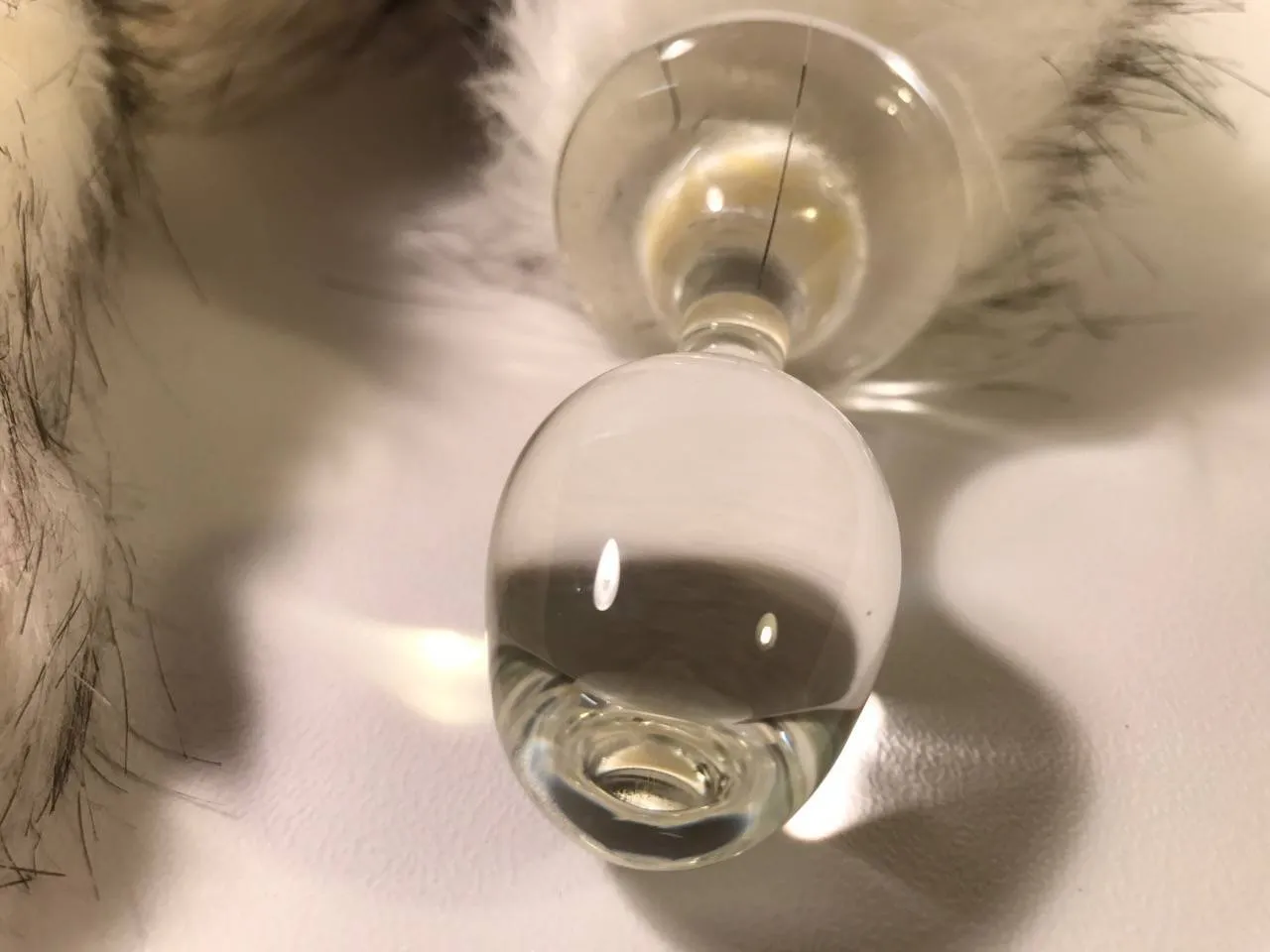 Vue détaillée du plug anal Crystal Minx avec queue de Husky