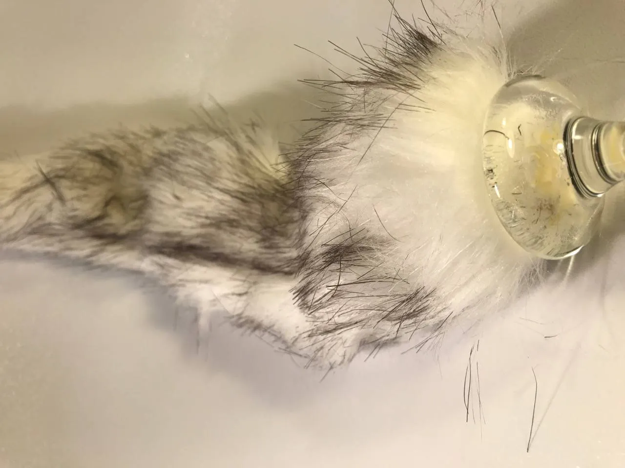 Queue de Husky synthétique du plug Crystal Minx