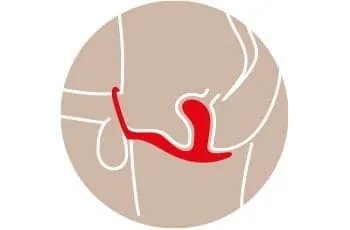 Gros plan sur le design courbé du plug anal Fun Factory Bootie Ring