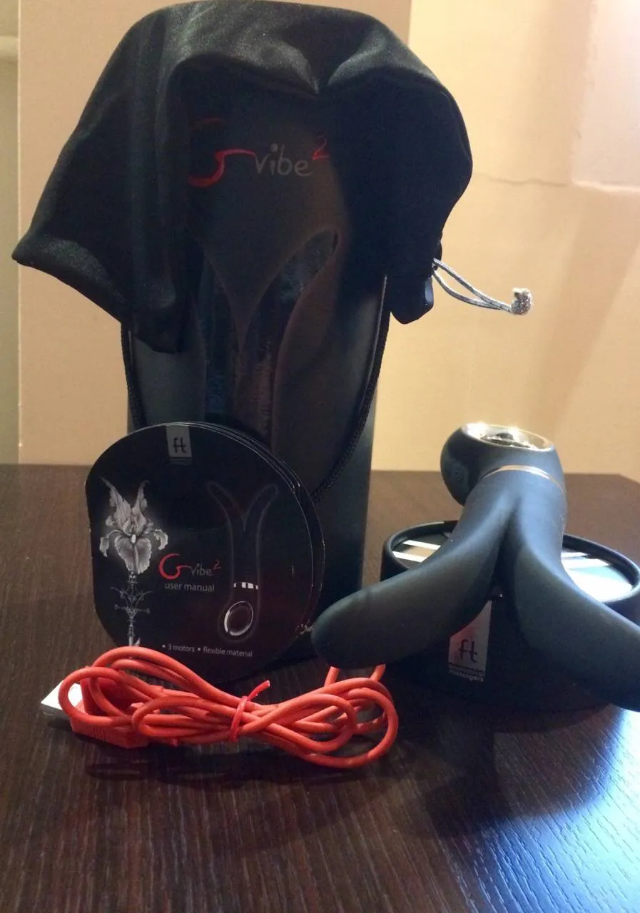 Contenu de la boîte du FunToys GVibe 2 avec chargeur et pochette