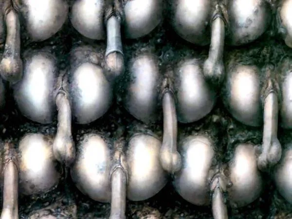 nxpl hommage hrgiger 08