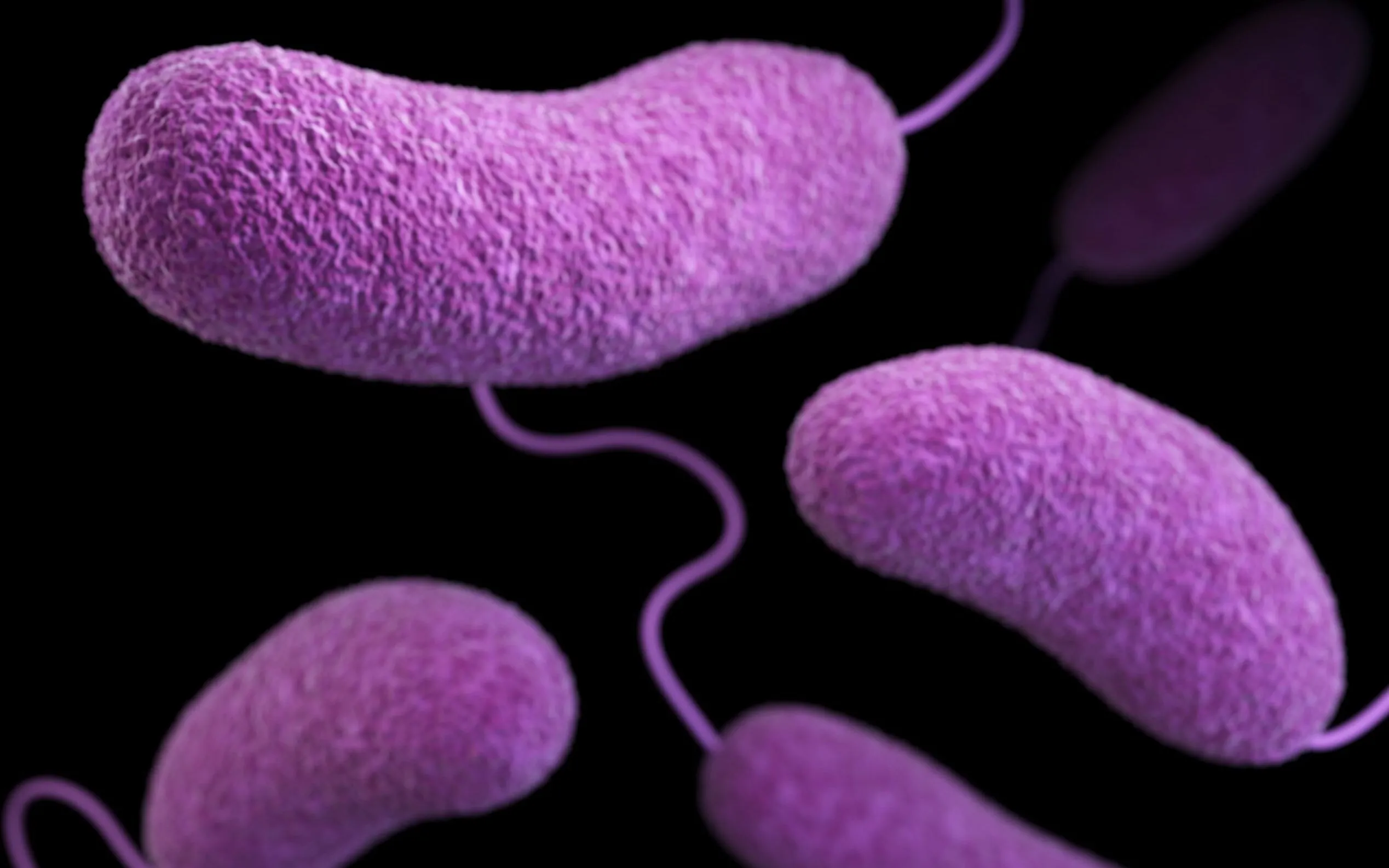 Schéma explicatif sur les risques d'infections sexuellement transmissibles et la prévention