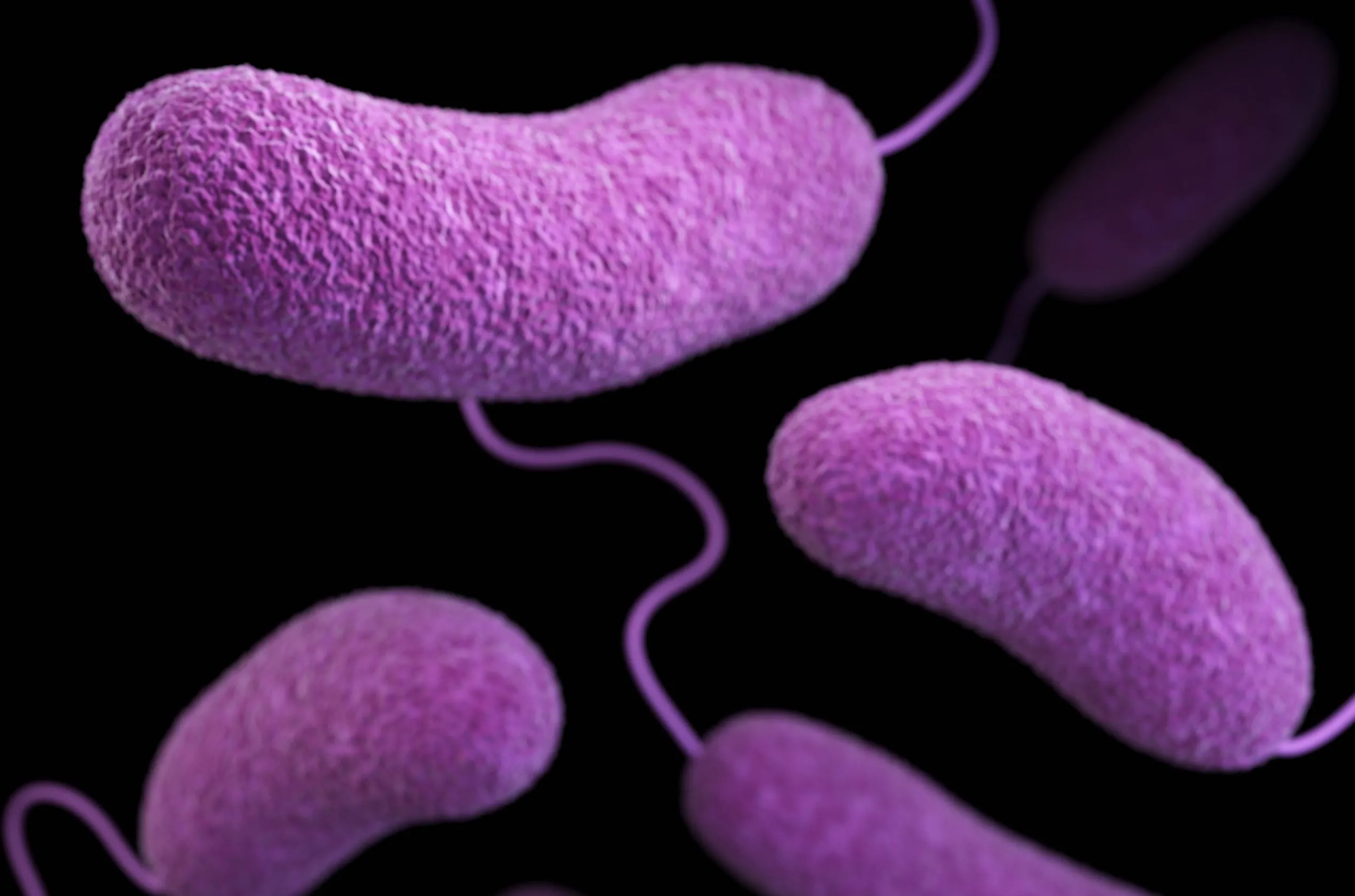 Les IST et leur prévention dans le libertinage