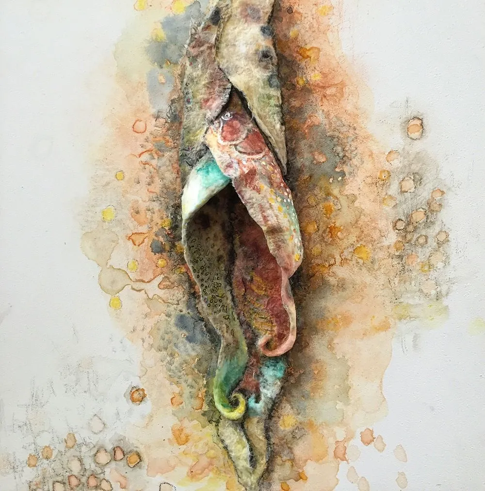 Vos vulves sont magnifiques