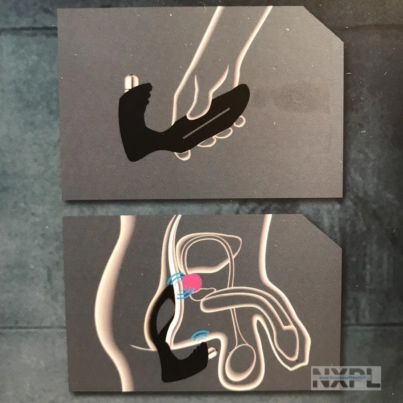 nxpl joydivision xpander 05