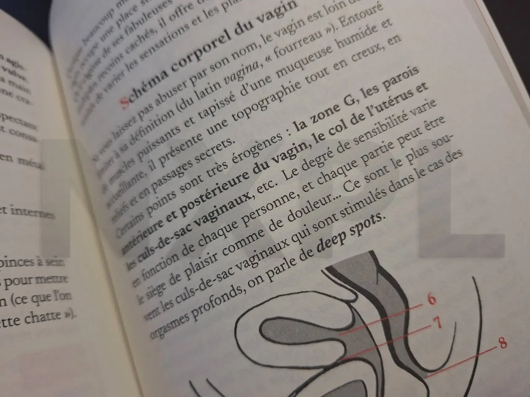 Exploration orgasmique
créative