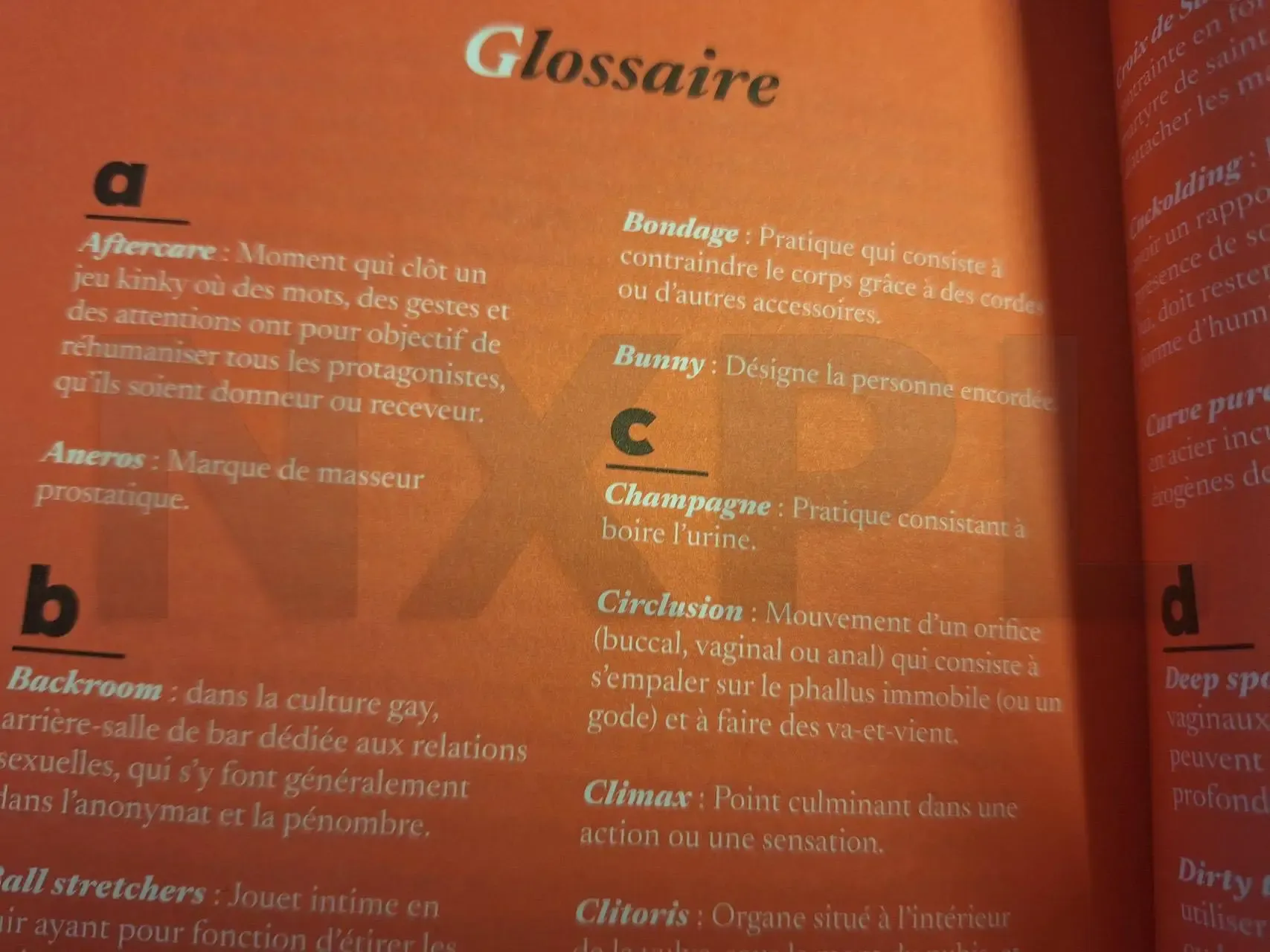 nxpl kink axelle de sade 05