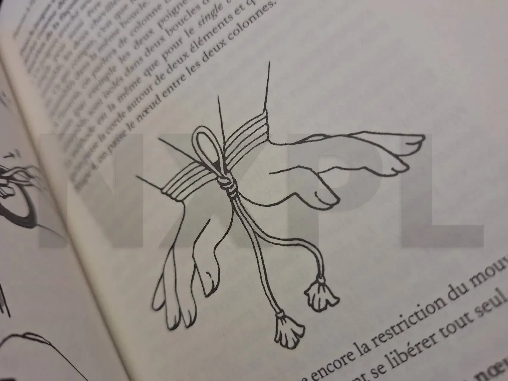 Art du bondage et des
contraintes