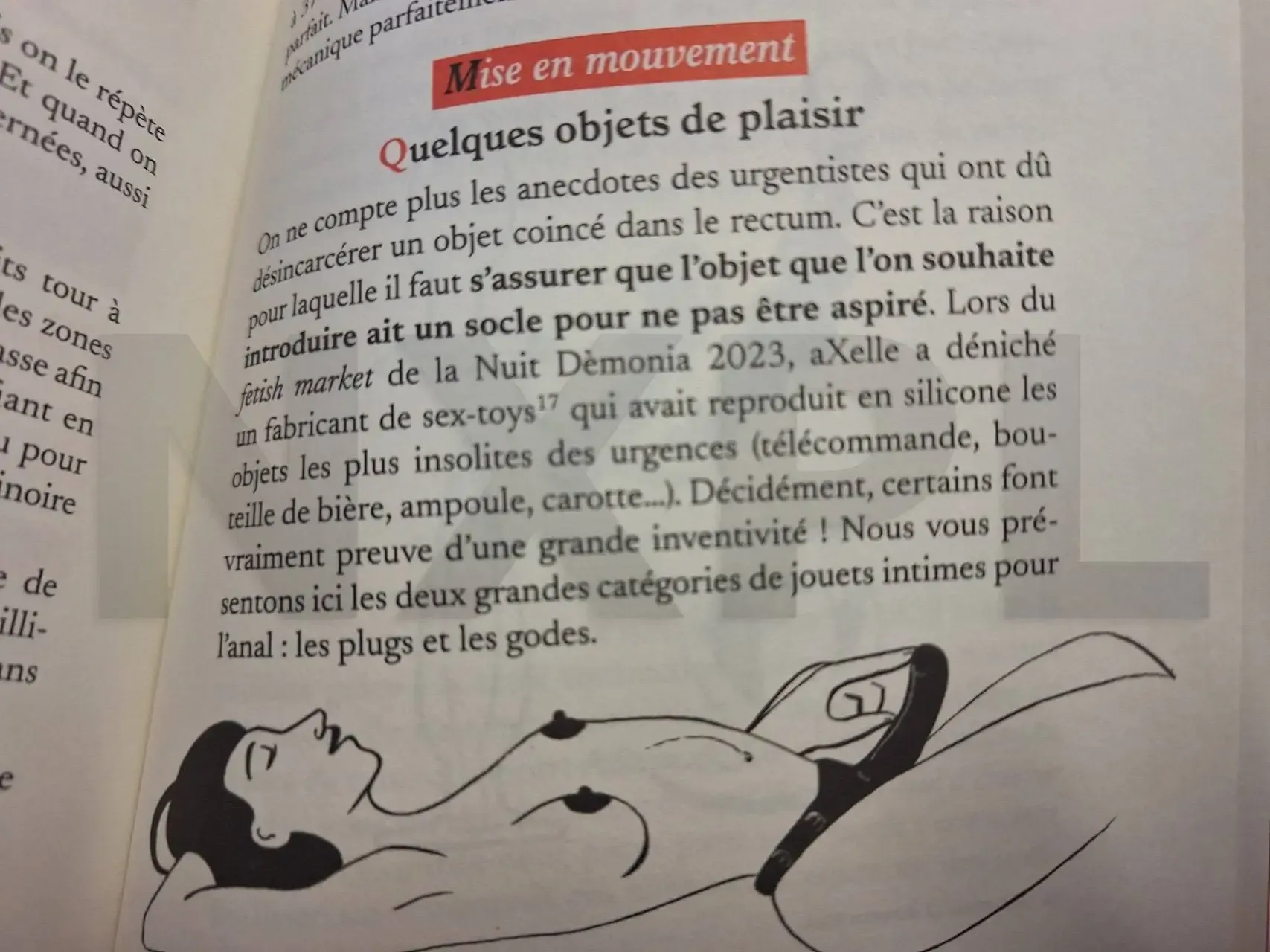 Anatomie du plaisir et
sextoys