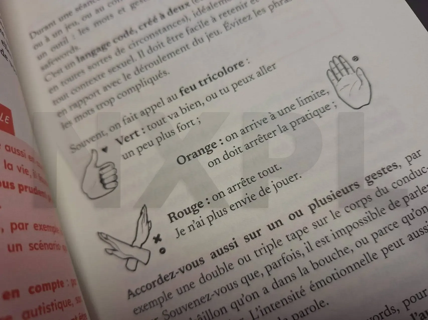 nxpl kink axelle de sade 15