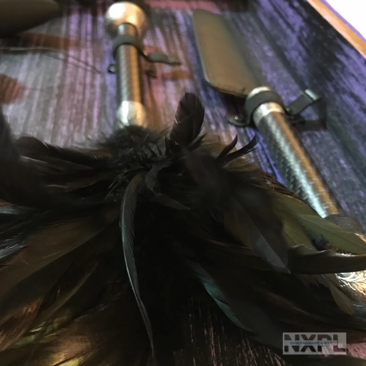 nxpl lelo anniversary collection 17 e1529441057428