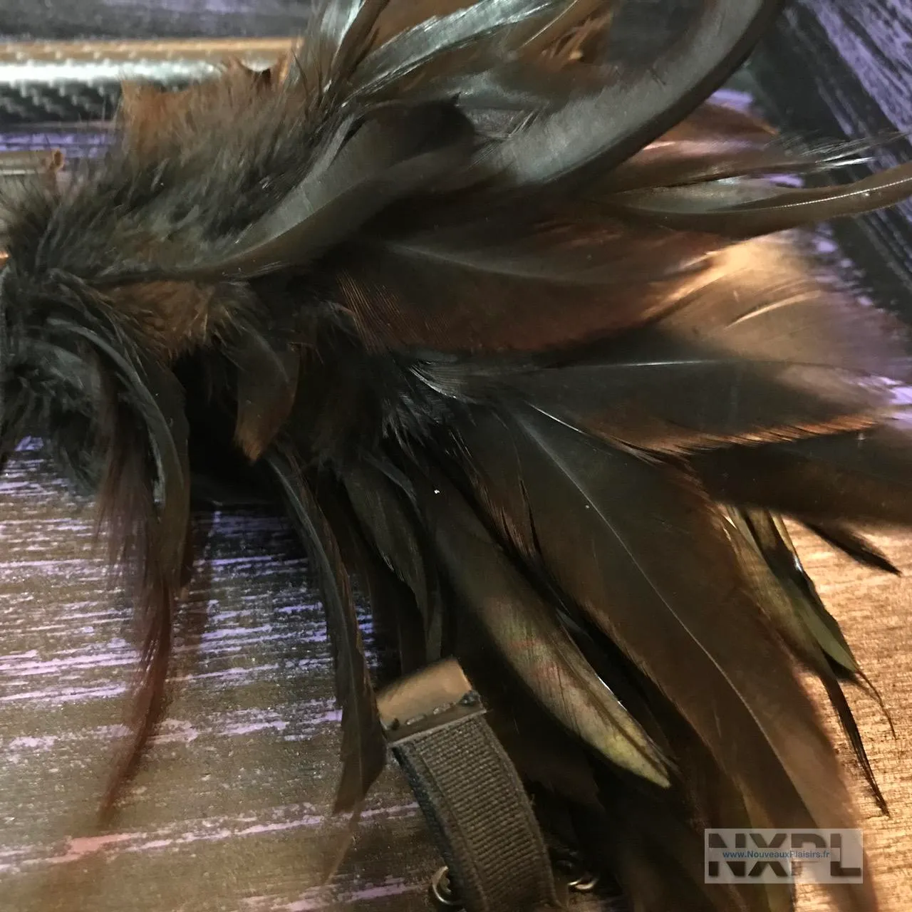 nxpl lelo anniversary collection 18