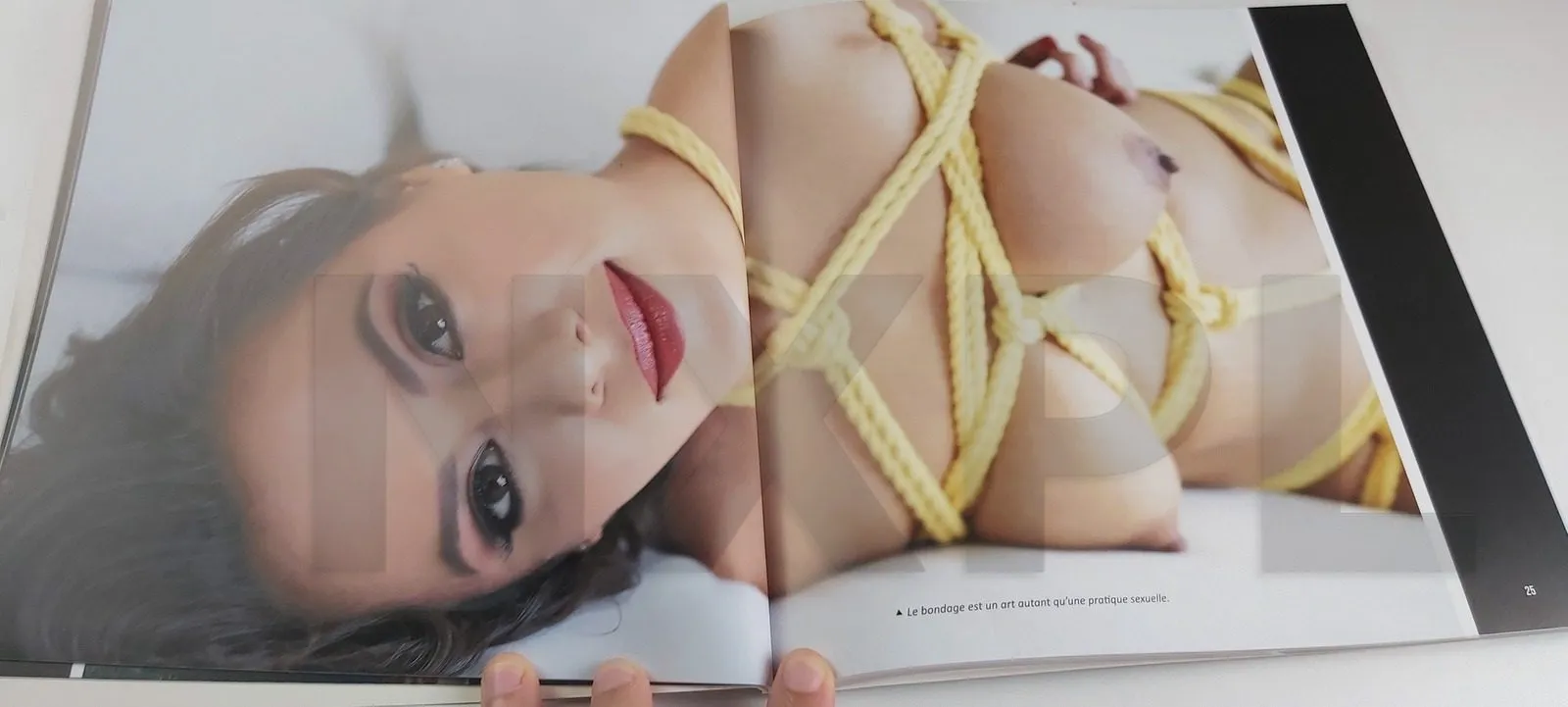 Équipement et partenaire : Bien choisir ses outils de jeu — Les Bases du Bondage