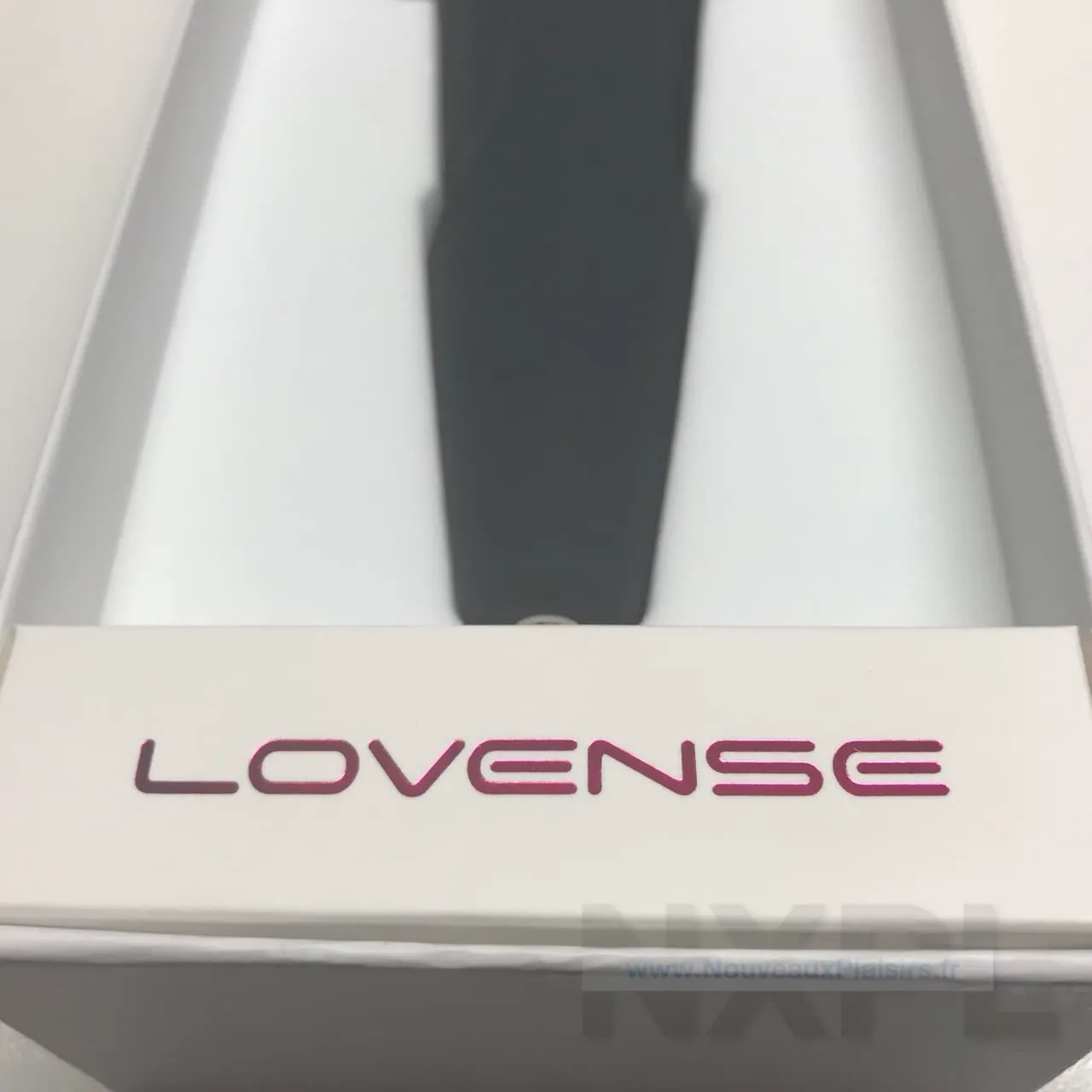 nxpl lovense domi 09