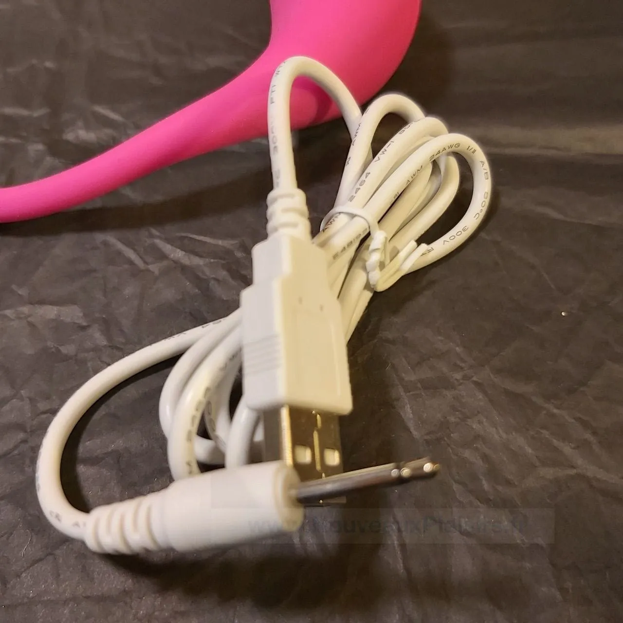 Lovense Lush 2 et son câble d'alimentation