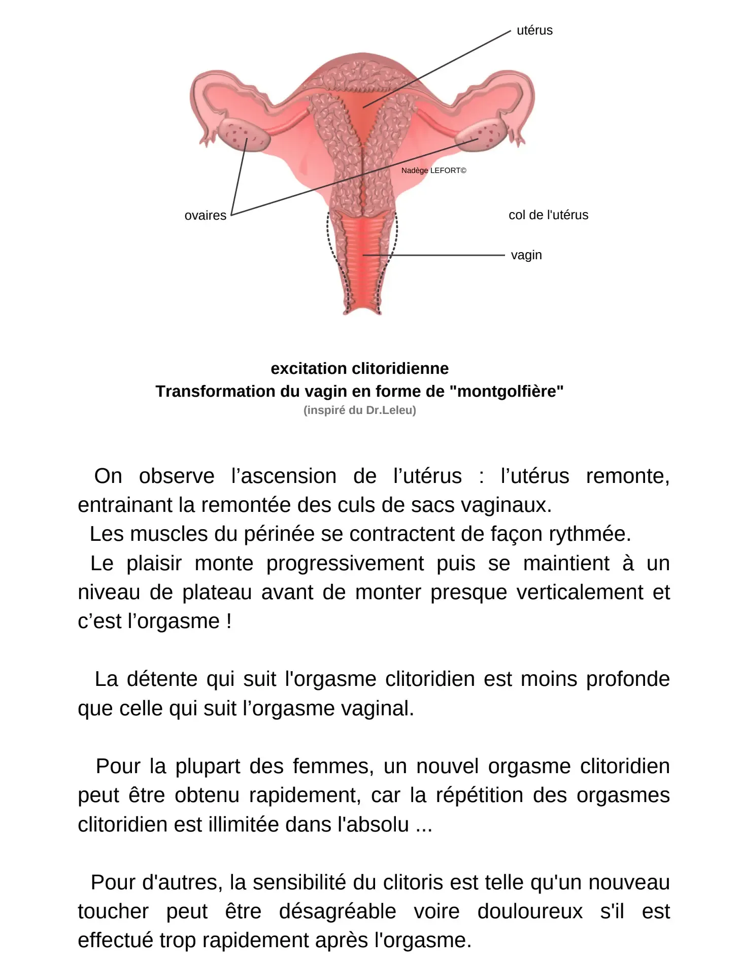 Livre La Bible pratique des orgasmes féminins par Nadège Lefort