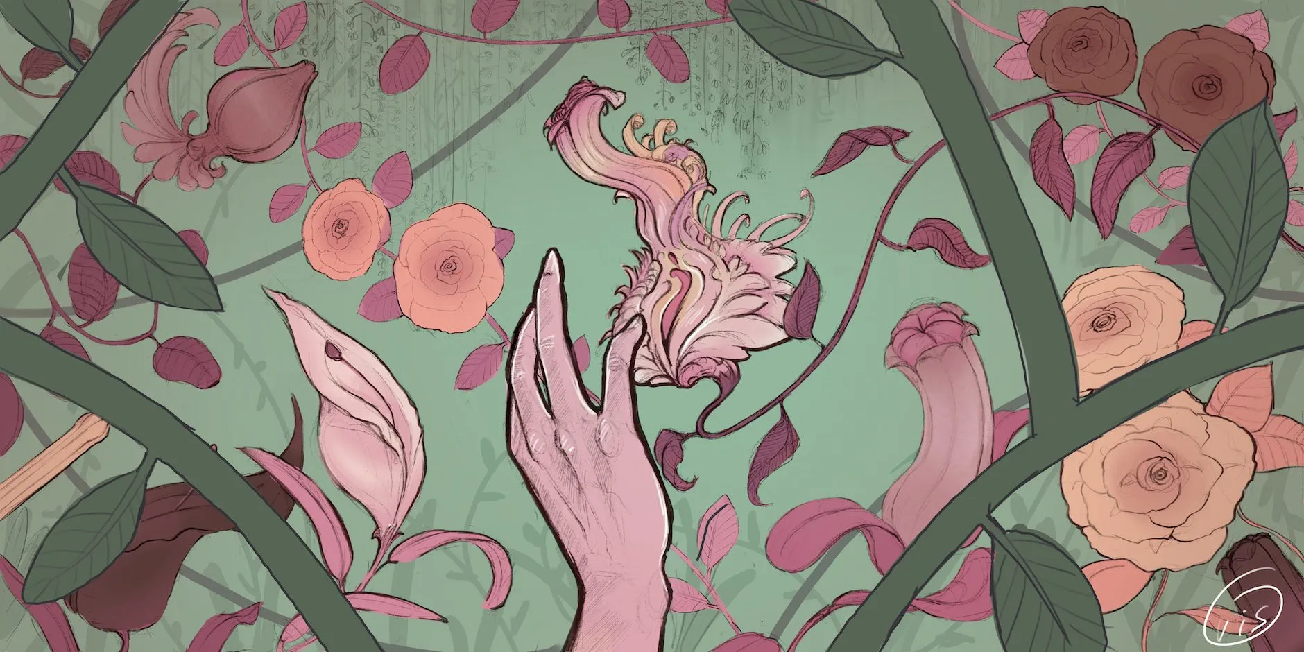 Pansexualité chérie