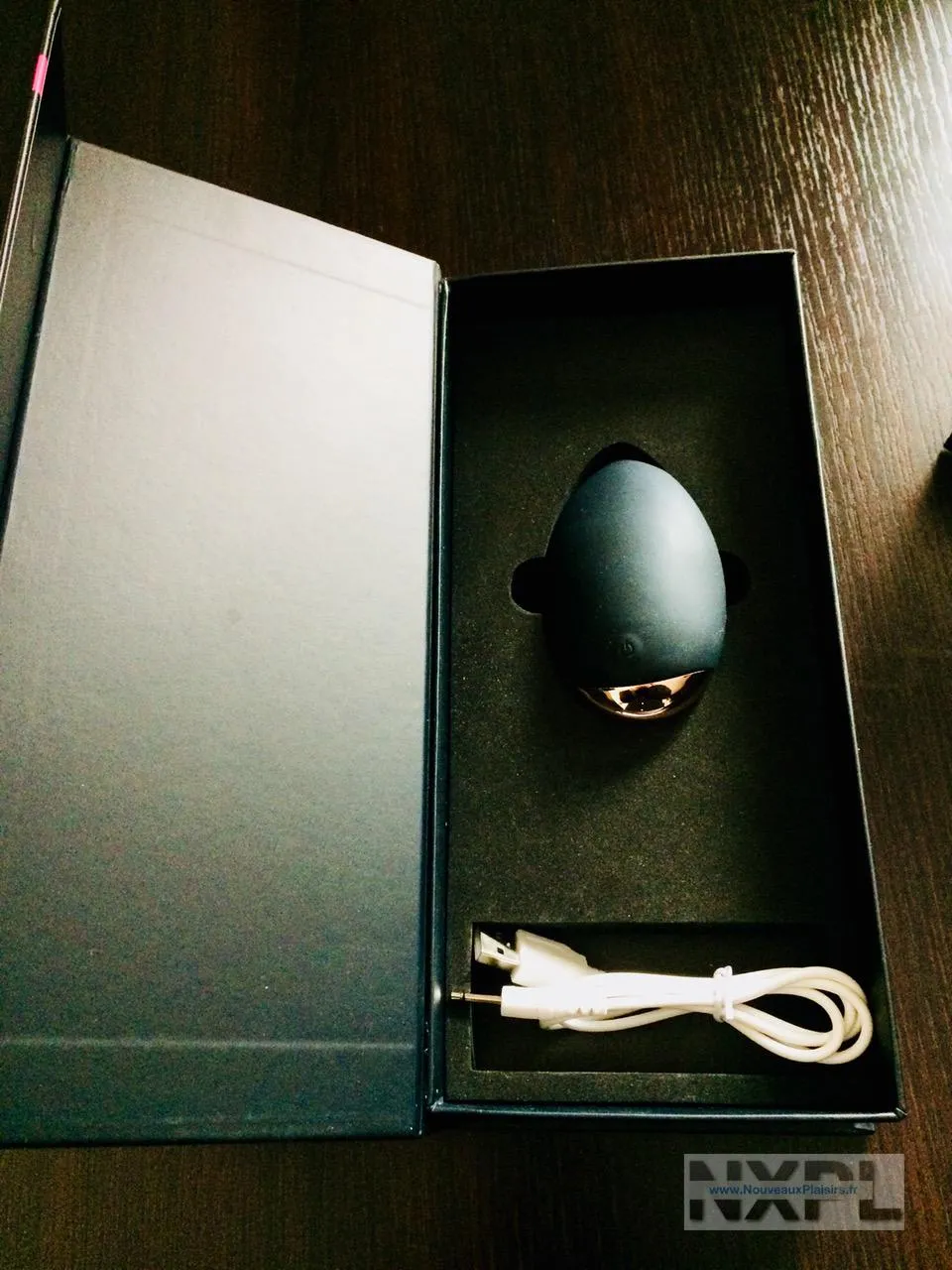 Vue rapprochée du galet vibrant Théa de Passage du Désir