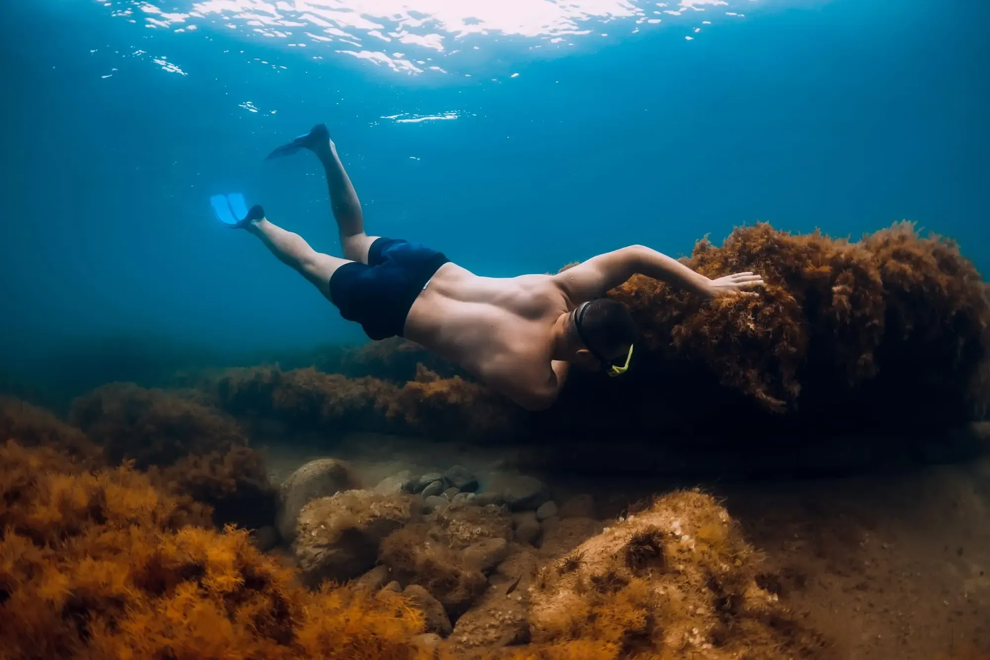 nxpl peche aux oursins