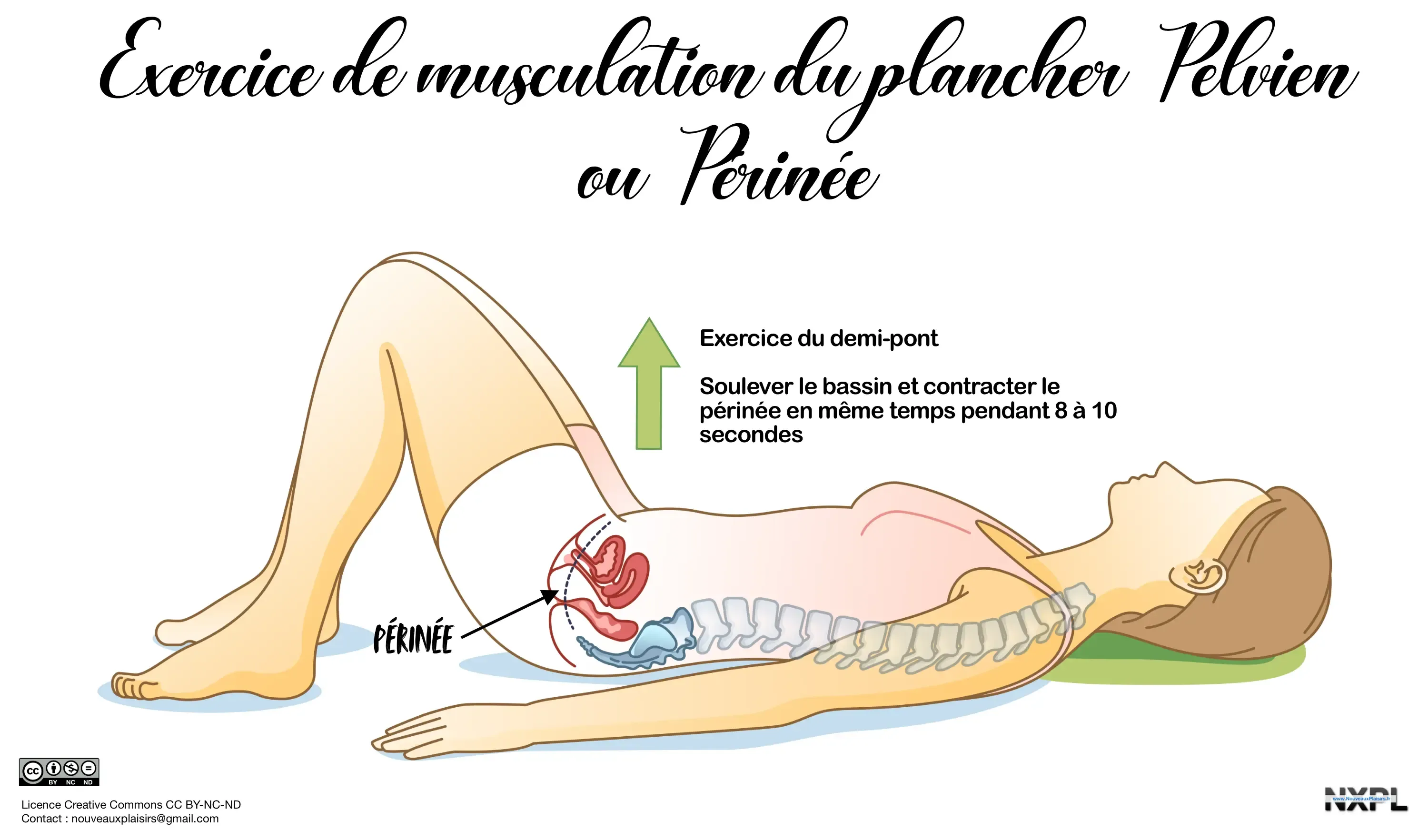 nxpl pelvic floor exercice demi pont