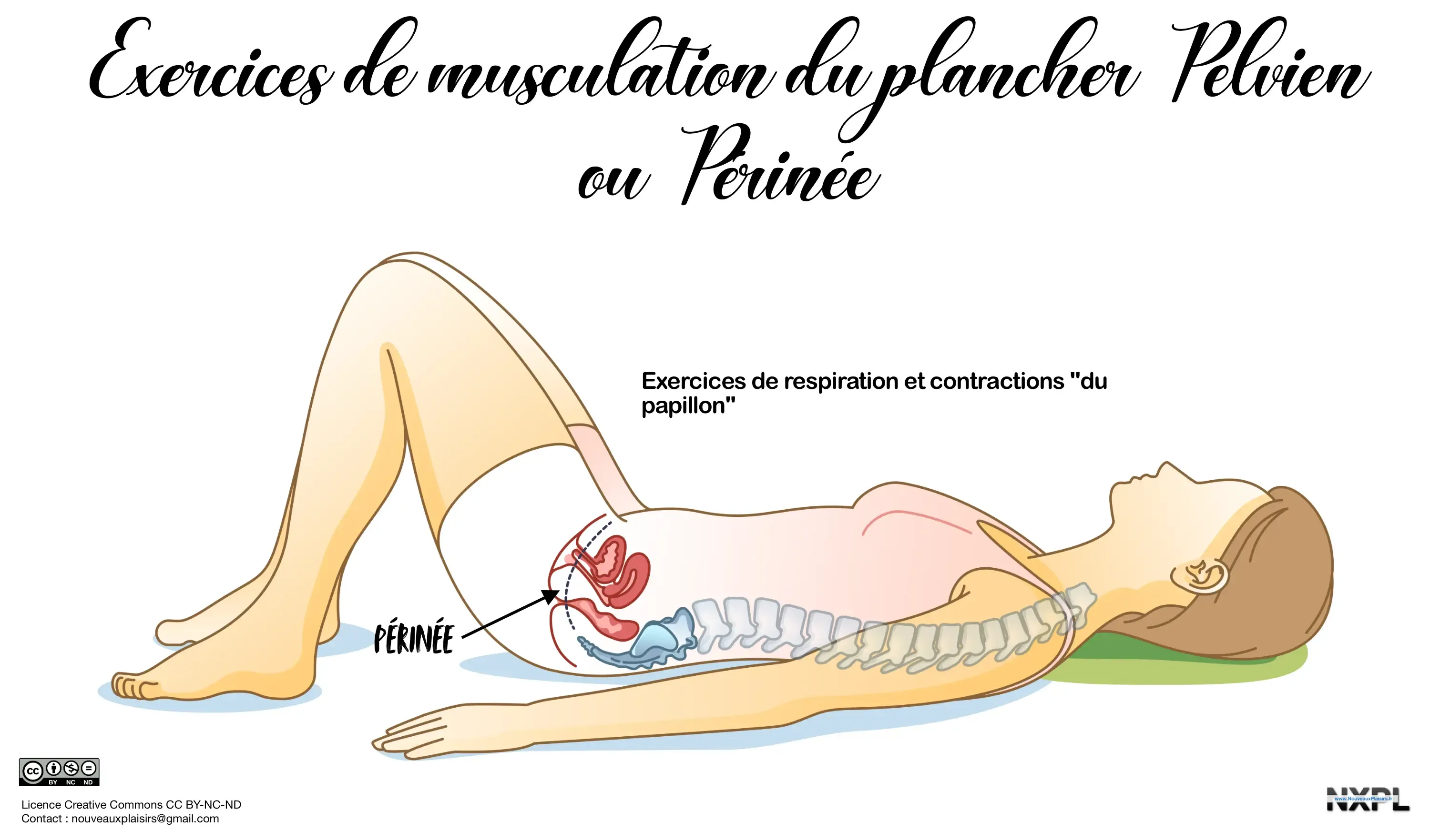 nxpl pelvic floor exercice papillon