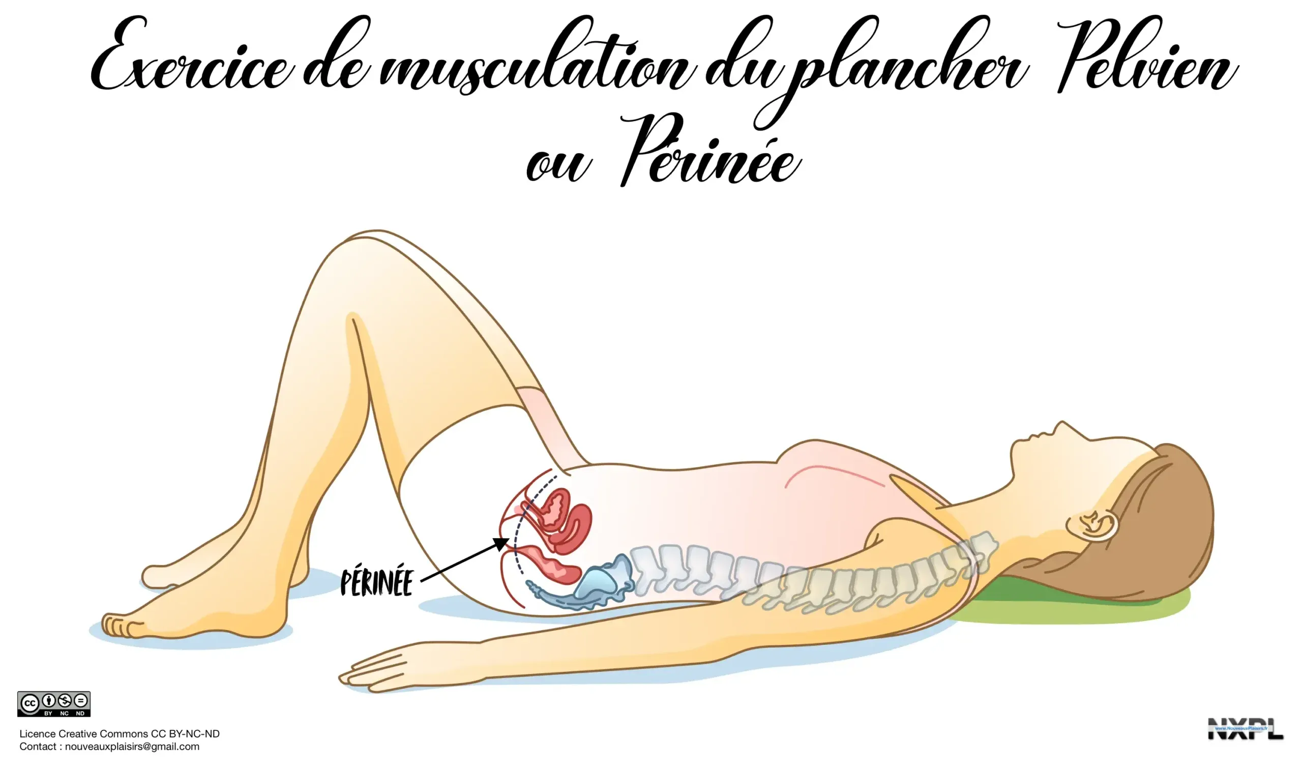 Prendre soin de son périnée pour les porteur.se.s de vagin