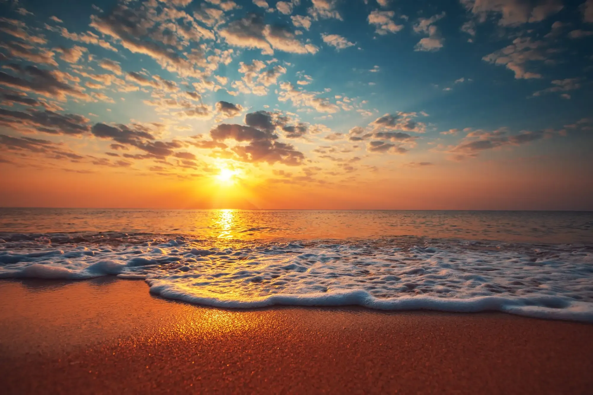 L'invitée, splendeurs et ridicules (Partie 4)