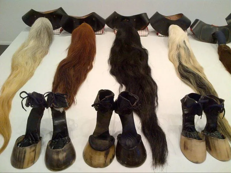 Performance Quadrille de Rose English avec accessoires de cheval