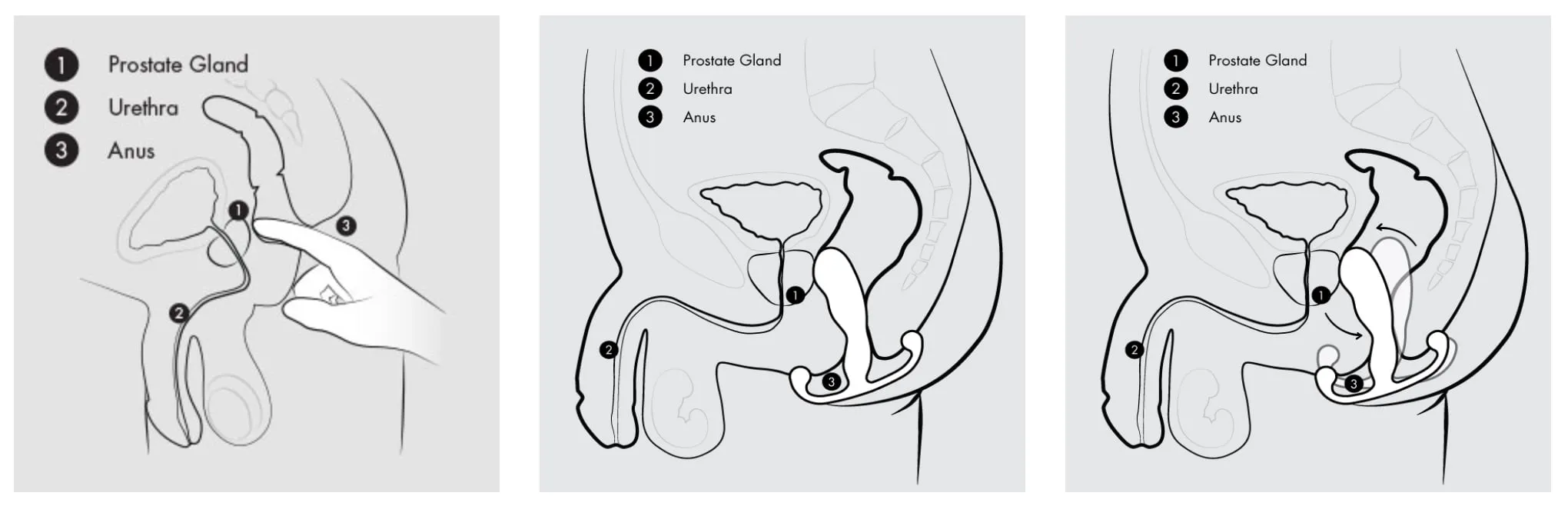 Mode d'emploi des Aneros - NXPL