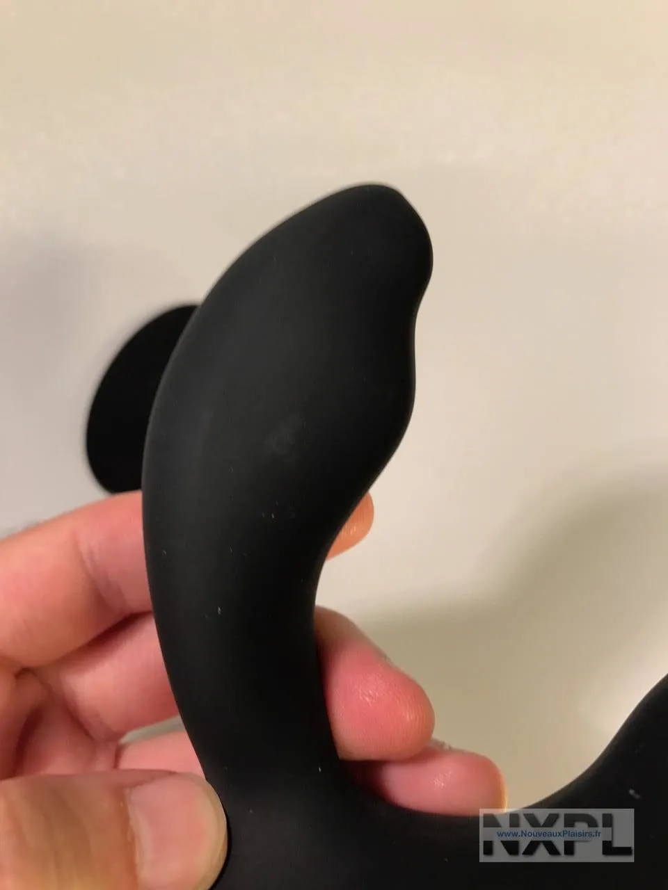 nxpl prostate rabbit 02 e1510265019813