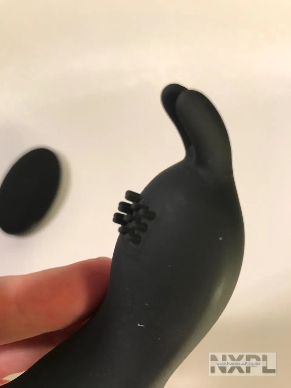 nxpl prostate rabbit 03 e1510265008903