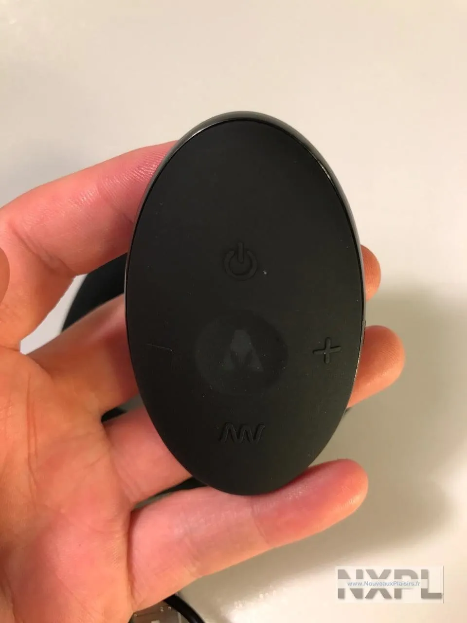 nxpl prostate rabbit 05 e1510264985145