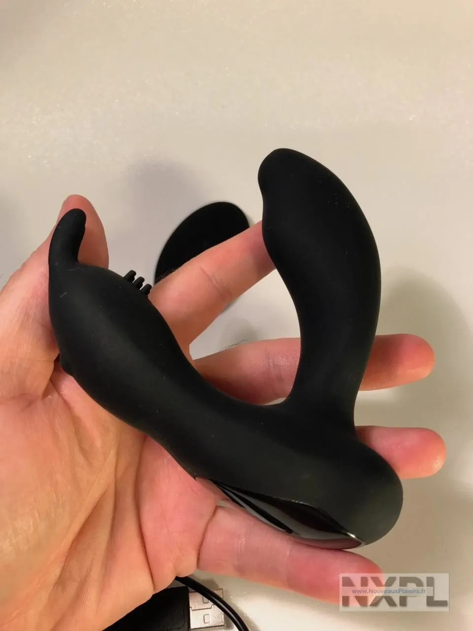 nxpl prostate rabbit 06 e1510264973197