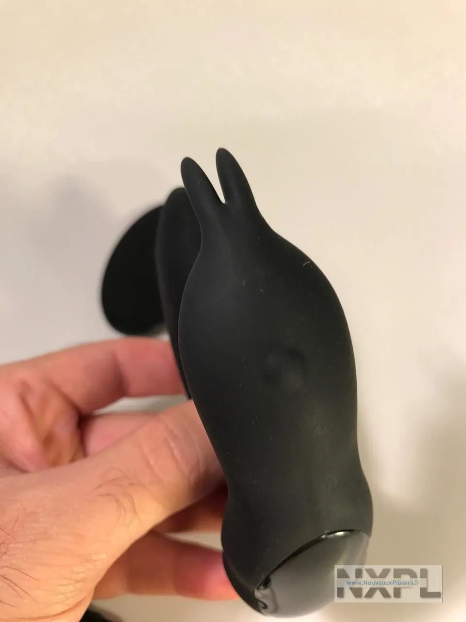 nxpl prostate rabbit 07 e1510264962694