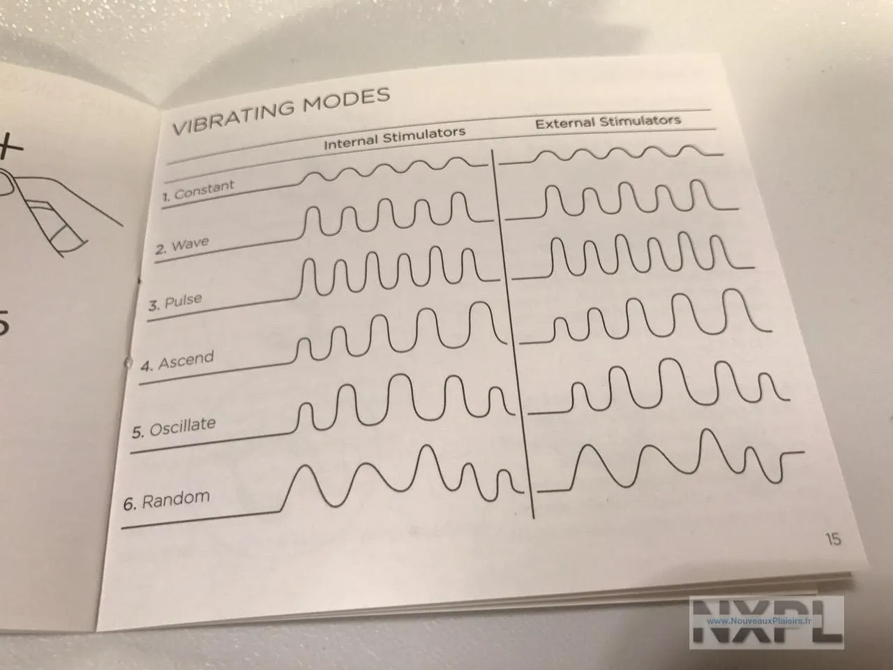 nxpl prostate rabbit 09