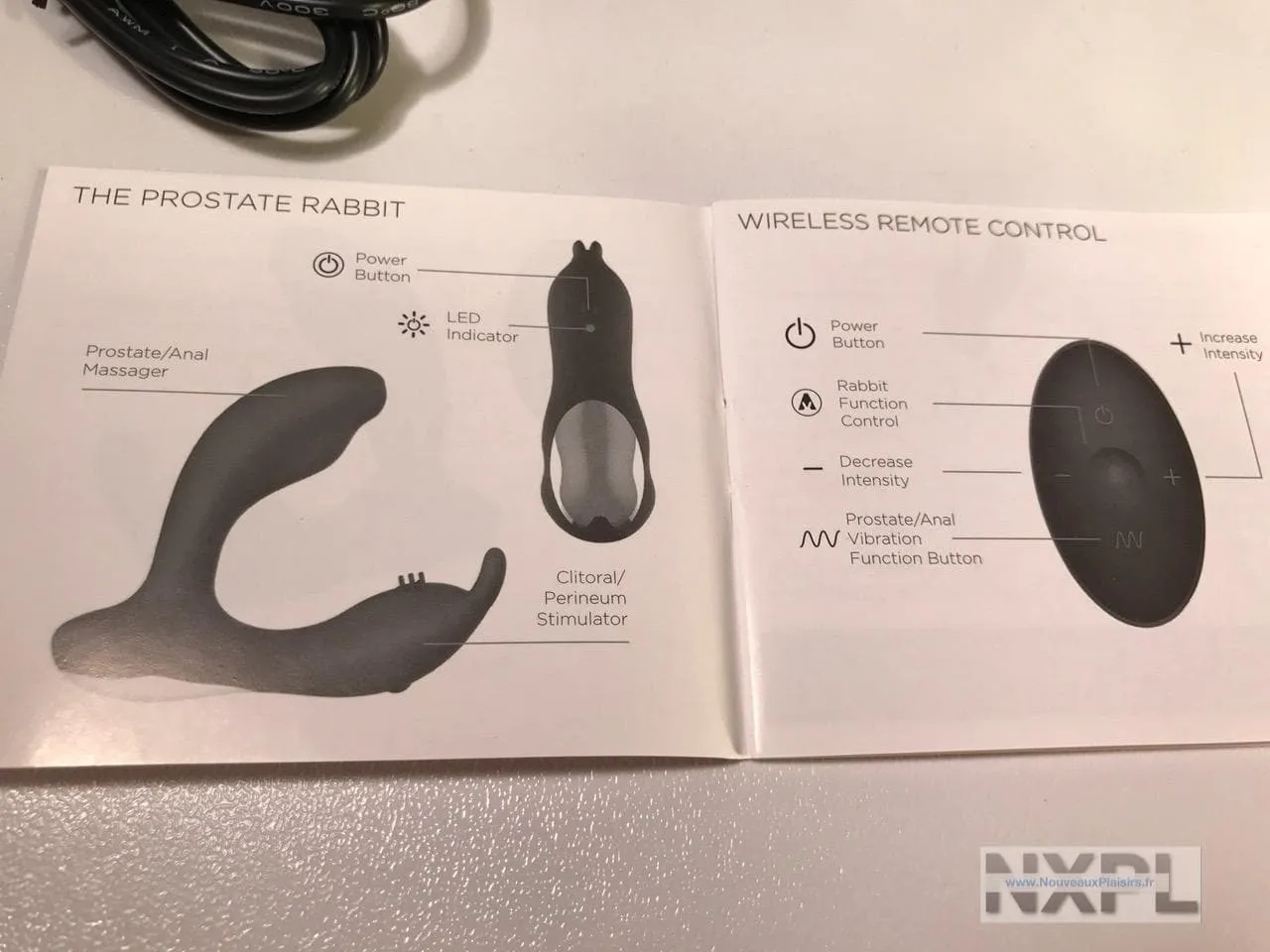 nxpl prostate rabbit 10