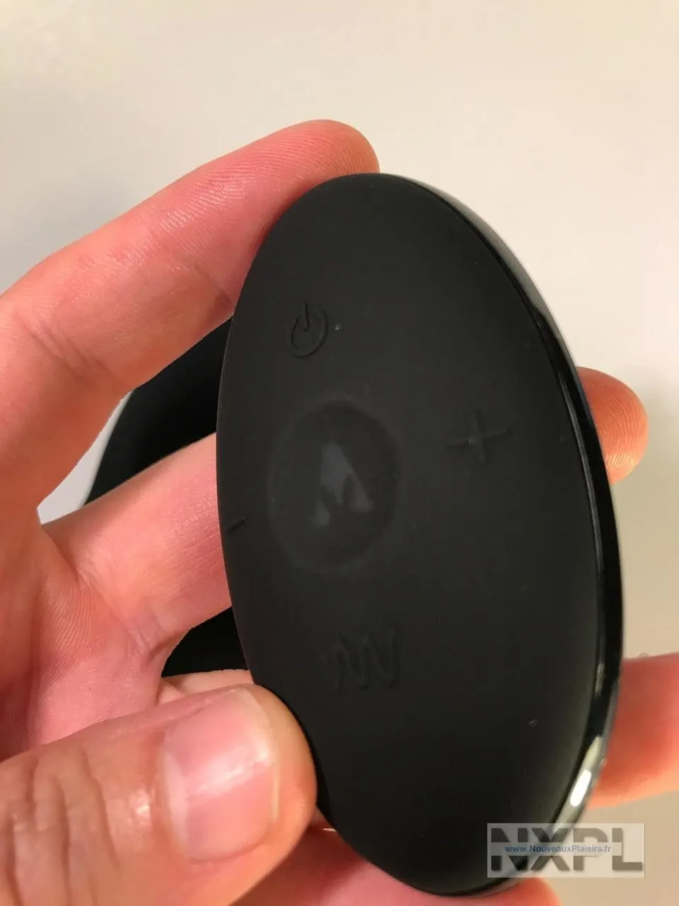 nxpl prostate rabbit 19 e1510264890837